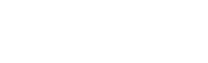 sunbelt logo