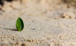 Can Incremental Change Bring BIG Results?