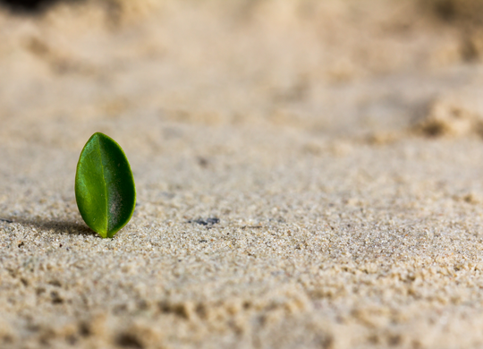Can Incremental Change Bring BIG Results?
