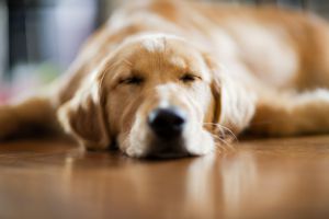 More Sleep = More Achievement