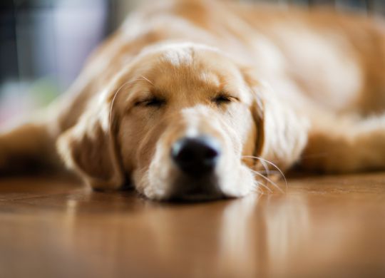More Sleep = More Achievement