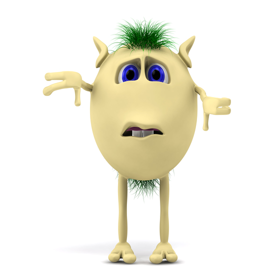 why are you here?