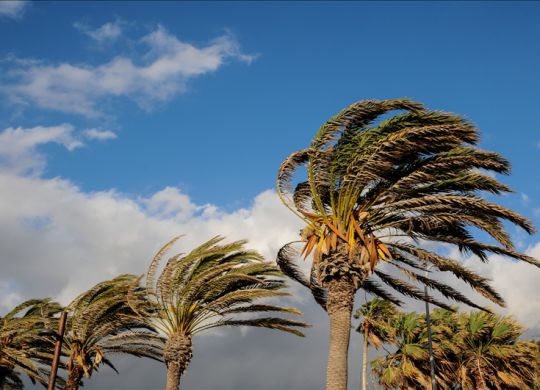 ID Badges for Hurricane Season