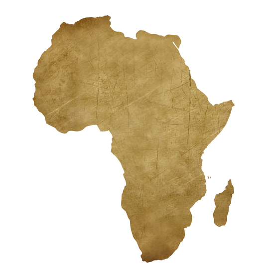 Biometric ID Badges for West Africa