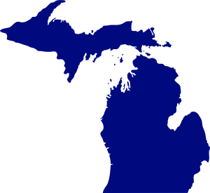 Municipal ID Cards Approved by Detroit Council