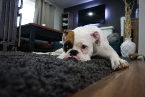 Getting Out of That Procrastination Rut
